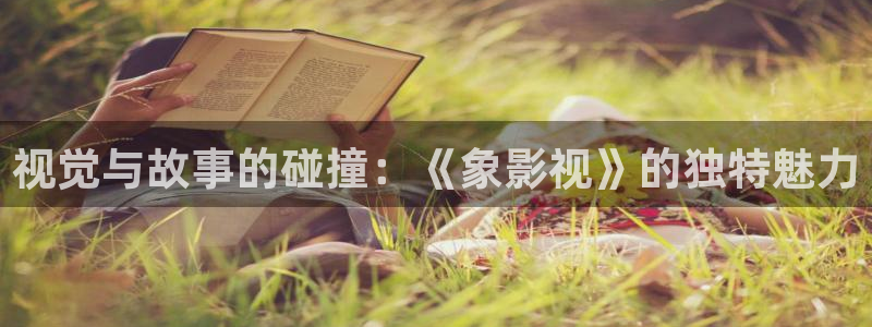 斑马电影街韩国大全：视觉与故事的碰撞：《象影视》的独特魅力