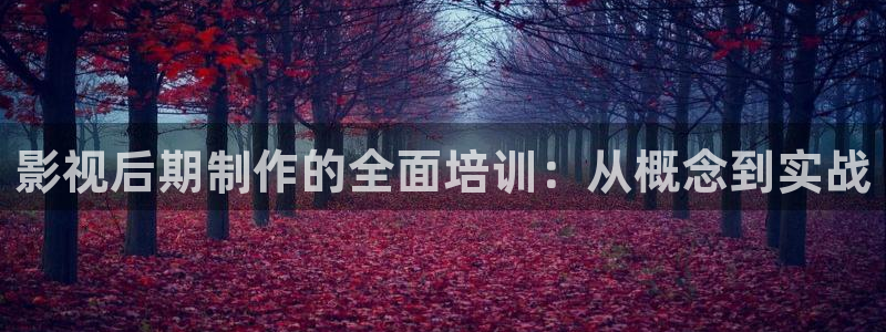 go斑马：影视后期制作的全面培训：从概念到实战