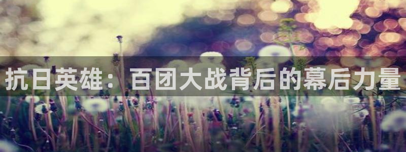 斑马视频：抗日英雄：百团大战背后的幕后力量