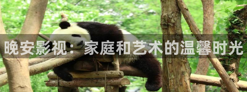 斑马ls4208：晚安影视：家庭和艺术的温馨时光
