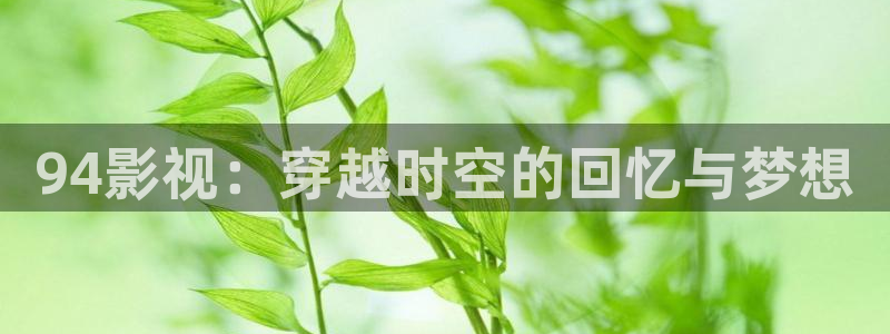 斑马街姐弟电影免费观看国语：94影视：穿越时空的回忆与梦想