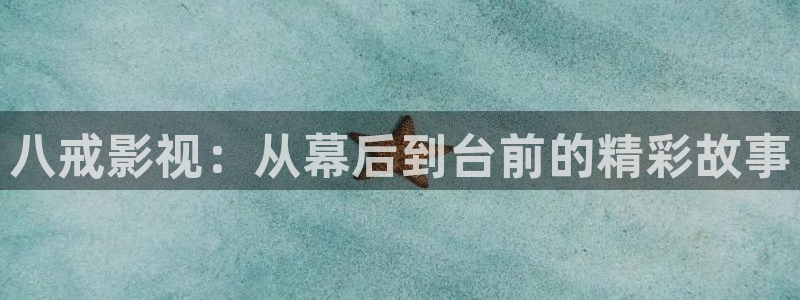 斑马tc200：八戒影视：从幕后到台前的精彩故事