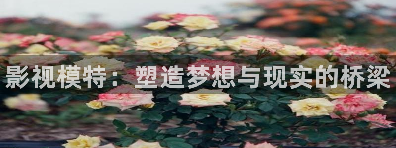 斑马网址：影视模特：塑造梦想与现实的桥梁