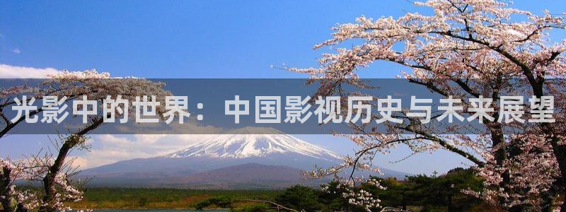 斑马总代：光影中的世界：中国影视历史与未来展望