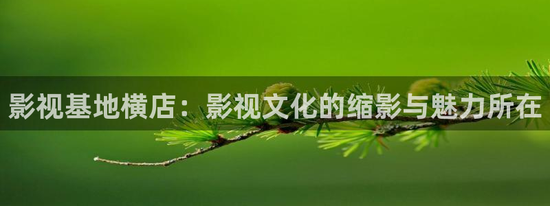 斑马优选
