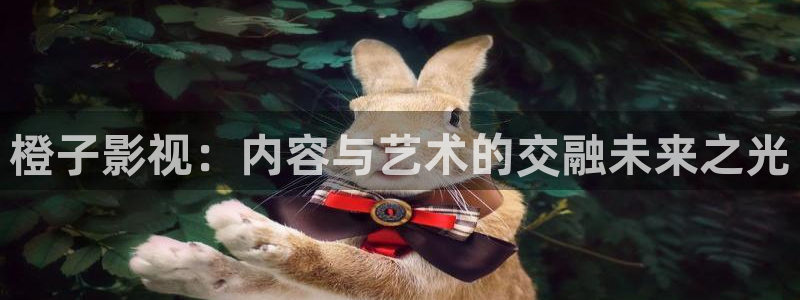 斑马会员是什么