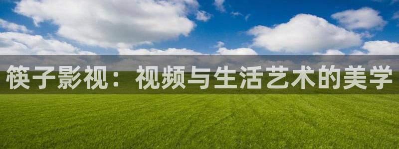 斑马影视文化有限公司