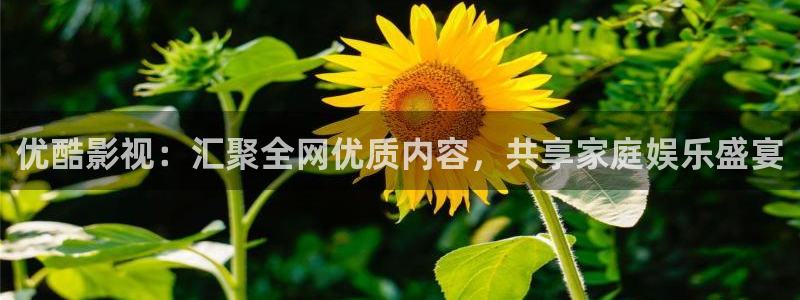 斑马210：优酷影视：汇聚全网优质内容，共享家庭娱乐盛宴