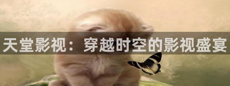 斑马 mc36：天堂影视：穿越时空的影视盛宴