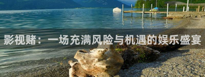 斑马视频大全高清：影视赌：一场充满风险与机遇的娱乐盛宴