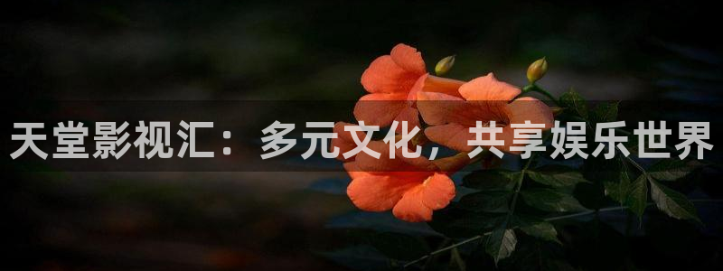斑马影视官网